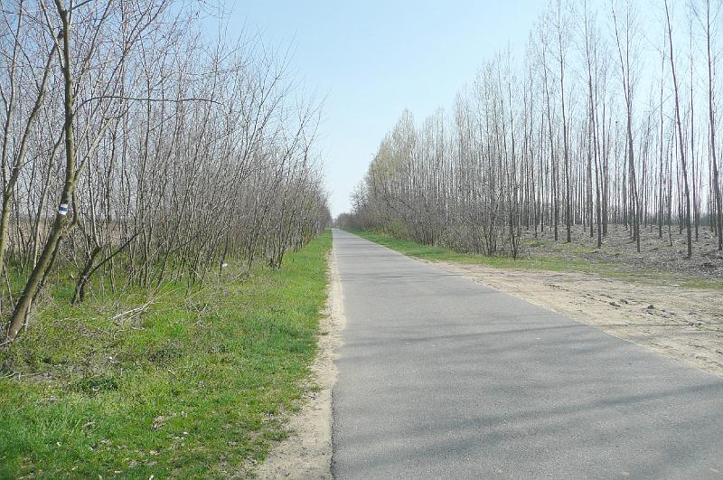 akk 42.JPG